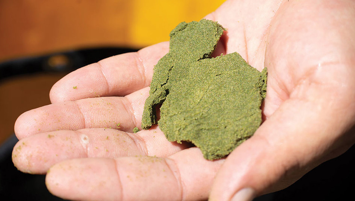 Everything you need to know about hash: water hash Everything you need to know about hash: water hash