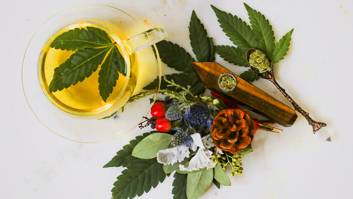 Who knew pinene terpenes kept us young?