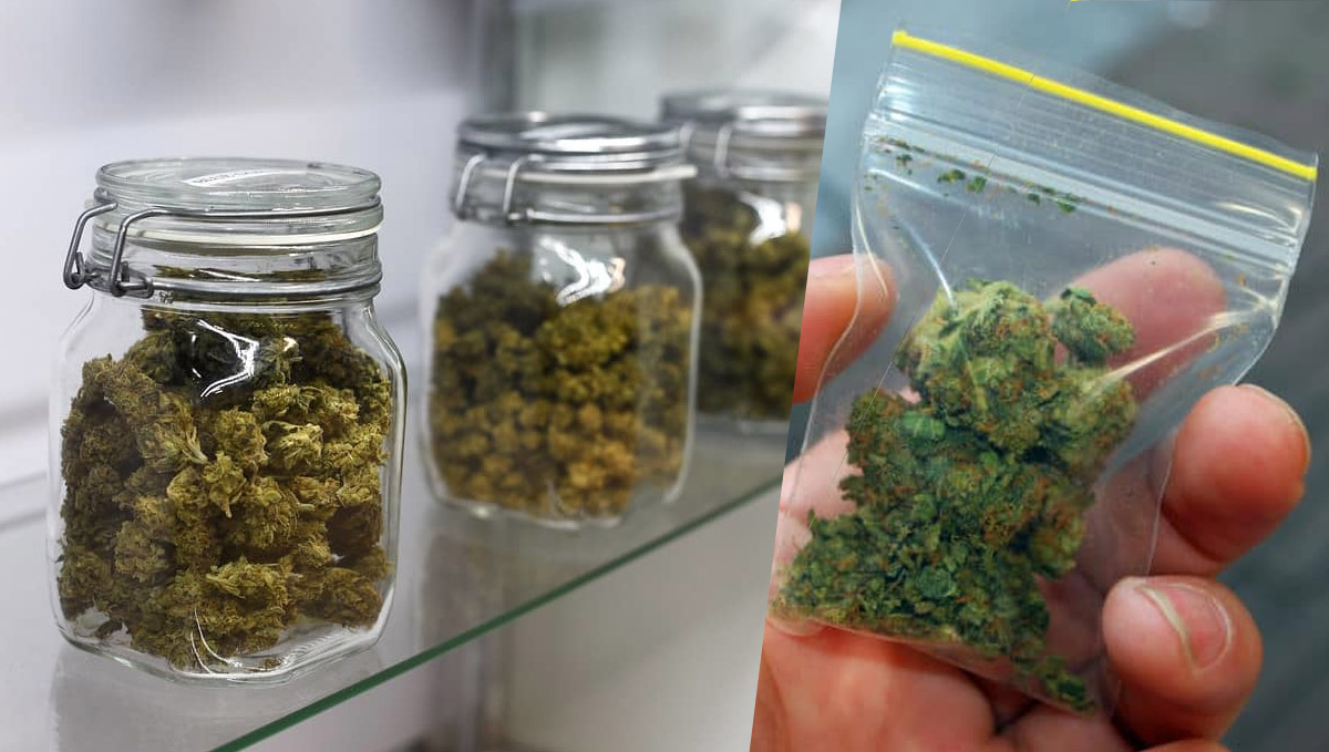 How to store your cannabis How to store your cannabis