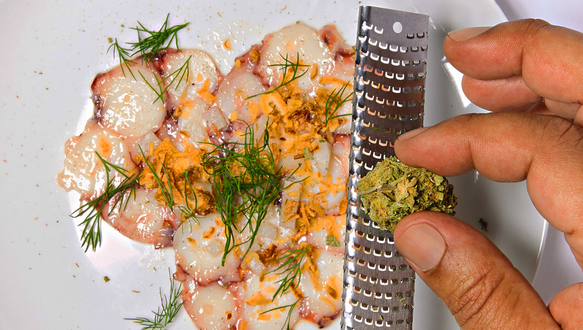 Grating raw cannabis Grating raw cannabis