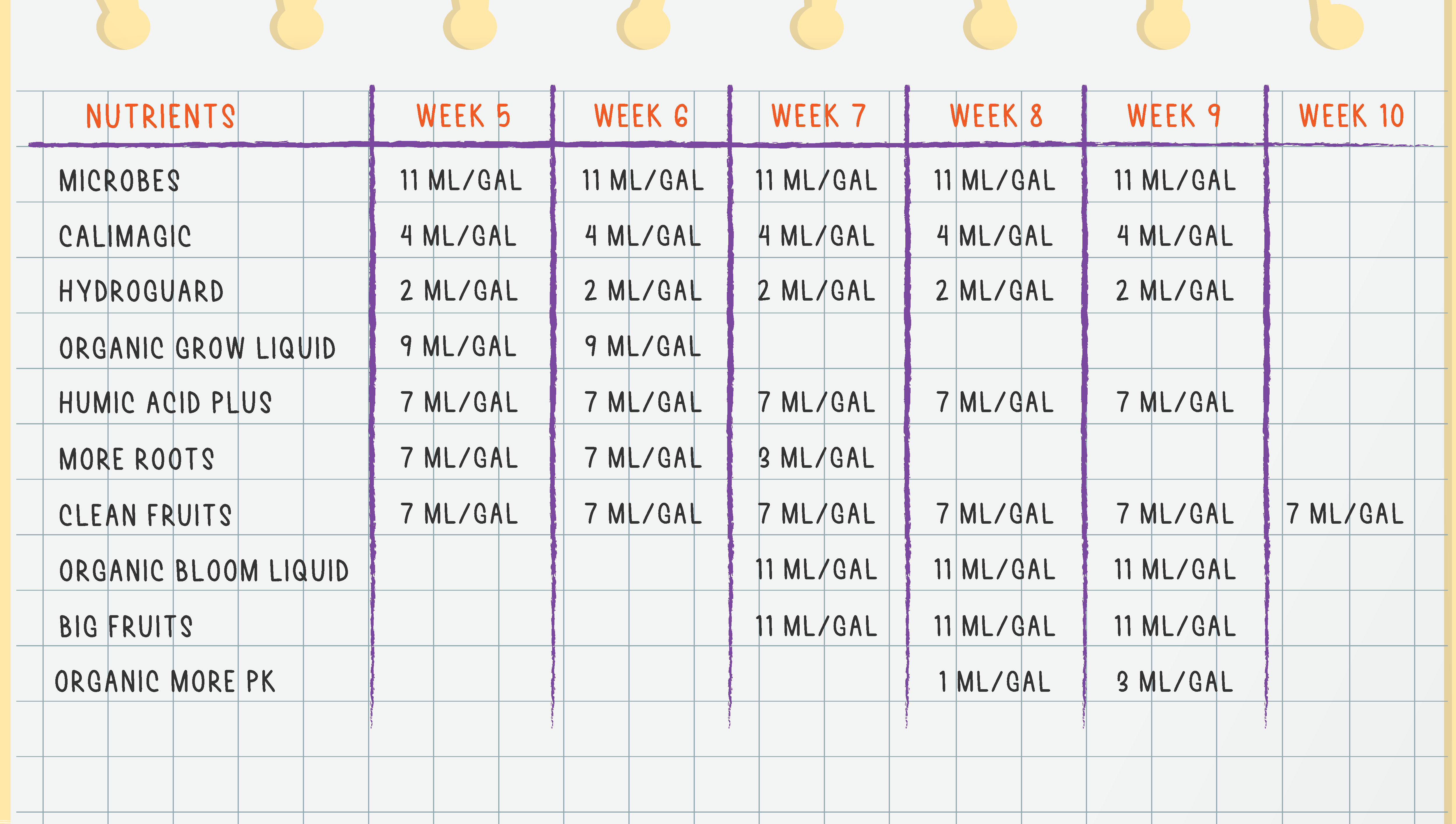 Feeding Solution For The Coco Medium