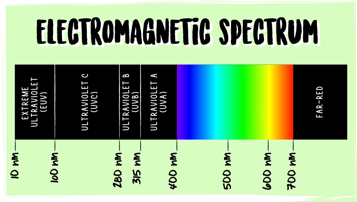 Best led lights for small spaces: par