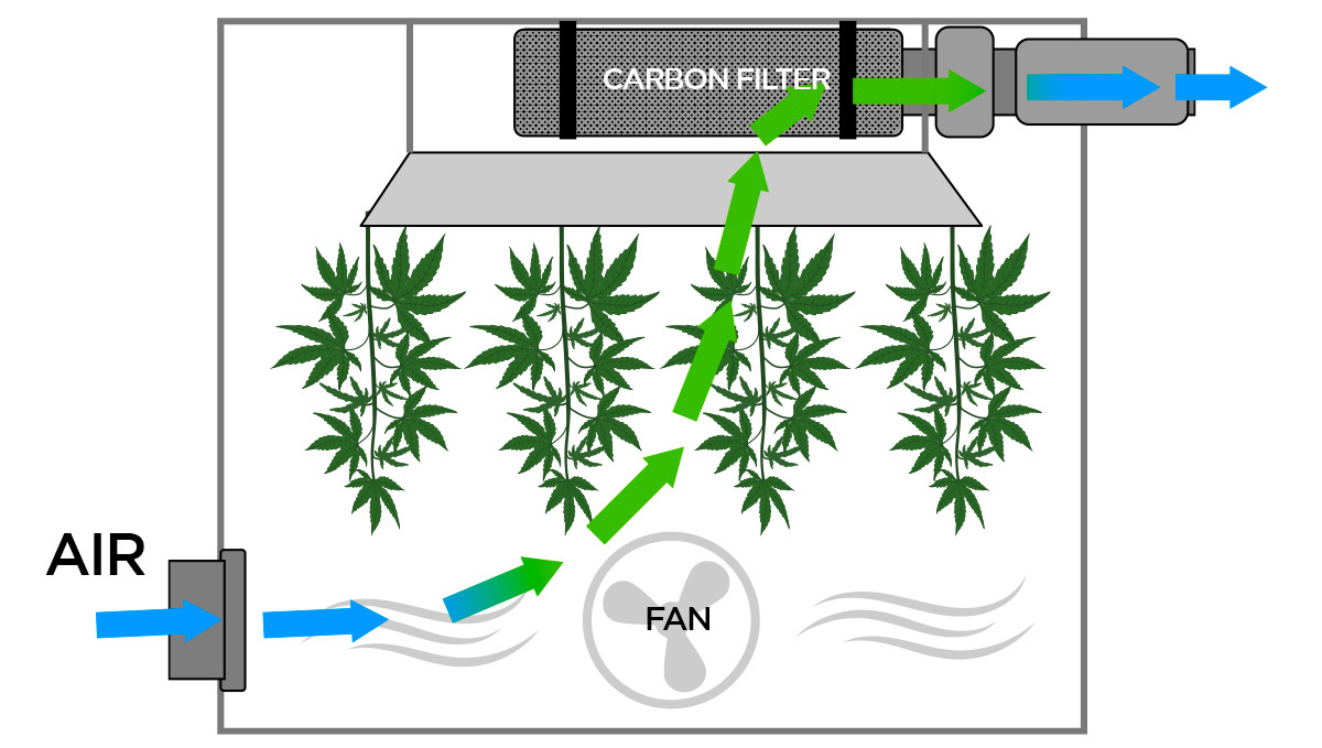 Carbon filter to smell proof your grow room