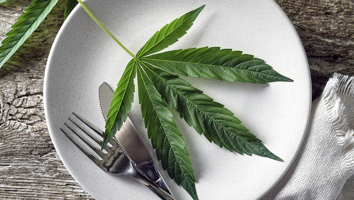 Cannabis could aid in the treatment of eating disorders. Cannabis could aid in the treatment of eating disorders.