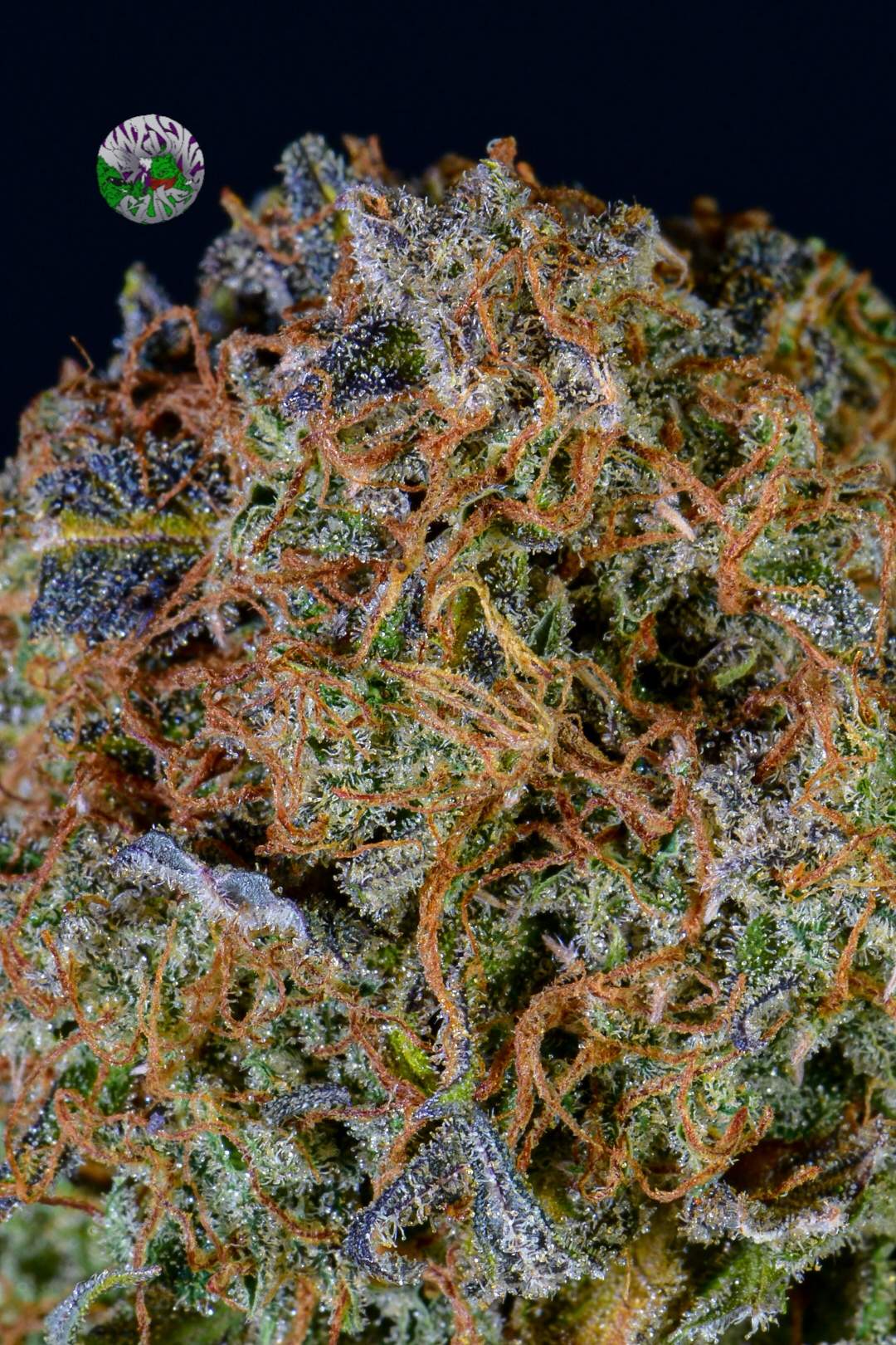 Fastbuds CC by Hawkbo