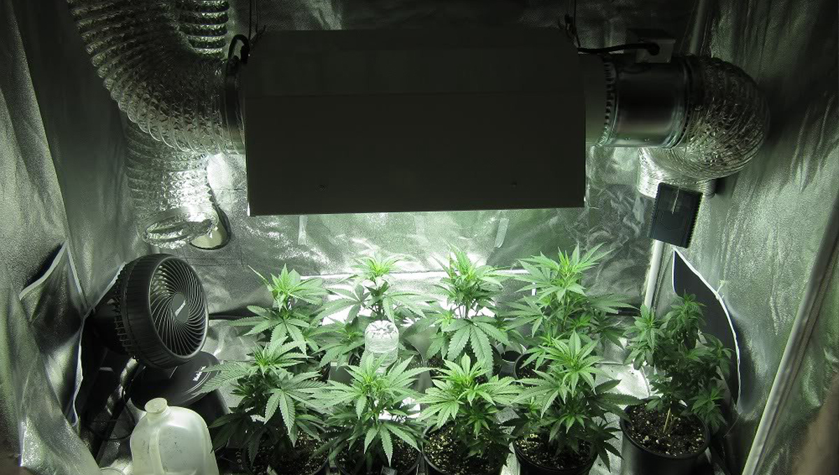 The importance of air circulation: exhaust system The importance of air circulation: exhaust system