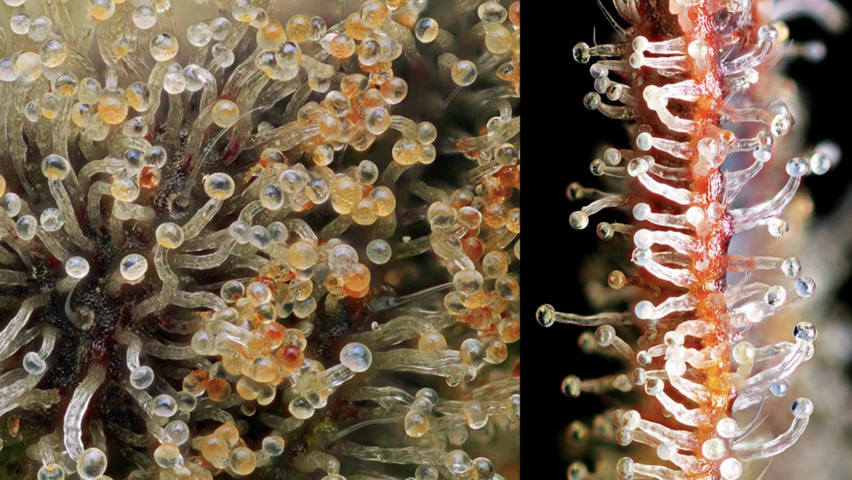 Screenshot 2021-05-04 at 13.06.27.png