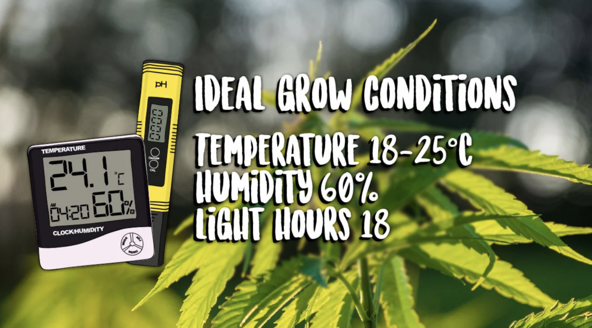 Screenshot 2021-05-04 at 12.53.55.png