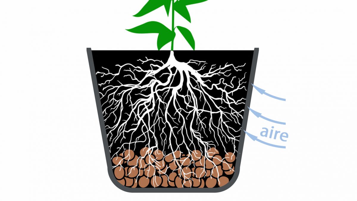 El mejor tamaño de maceta para autoflorecientes: las mejores macetas El mejor tamaño de maceta para autoflorecientes: las mejores macetas