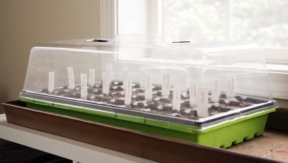 La cámara de germinación La cámara de germinación