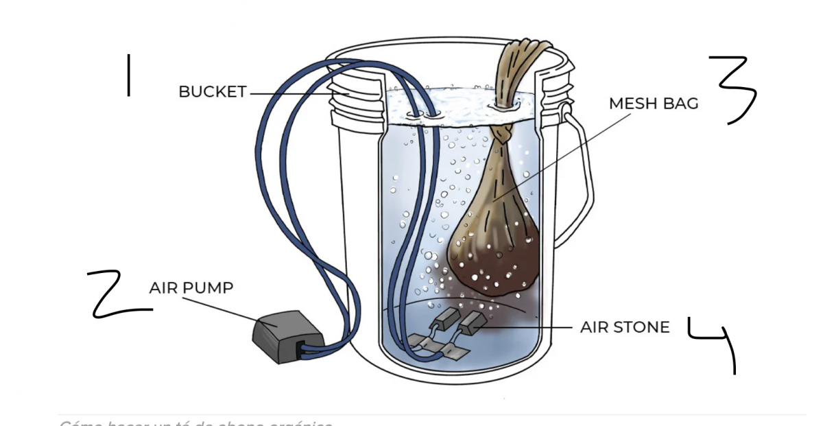 Tés orgánicos para cannabis: cómo hacerlo