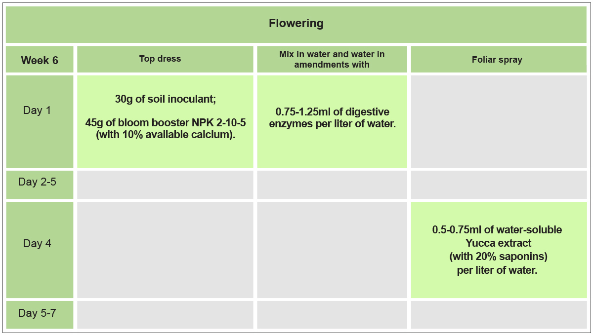 No-till cannabis guide: week 6