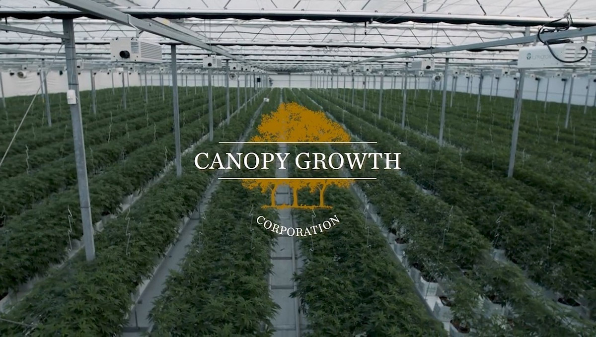 Largest cannabis companies: canopy growth 