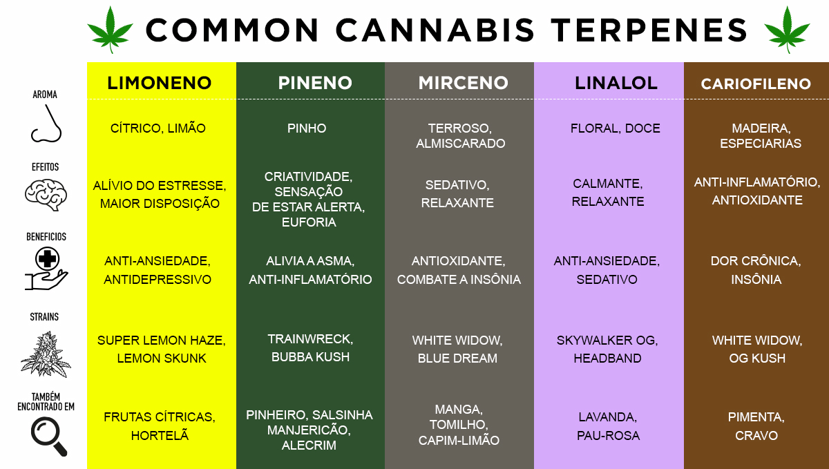 Terpenos mais comuns Terpenos mais comuns