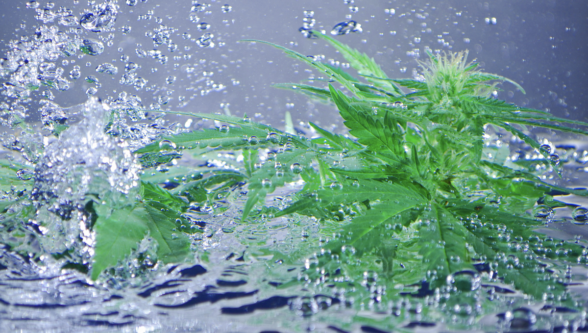 The importance of water purity: where do dissolved solids come from?