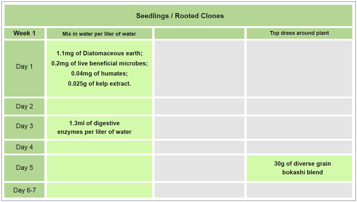 No-till cannabis guide: week 1