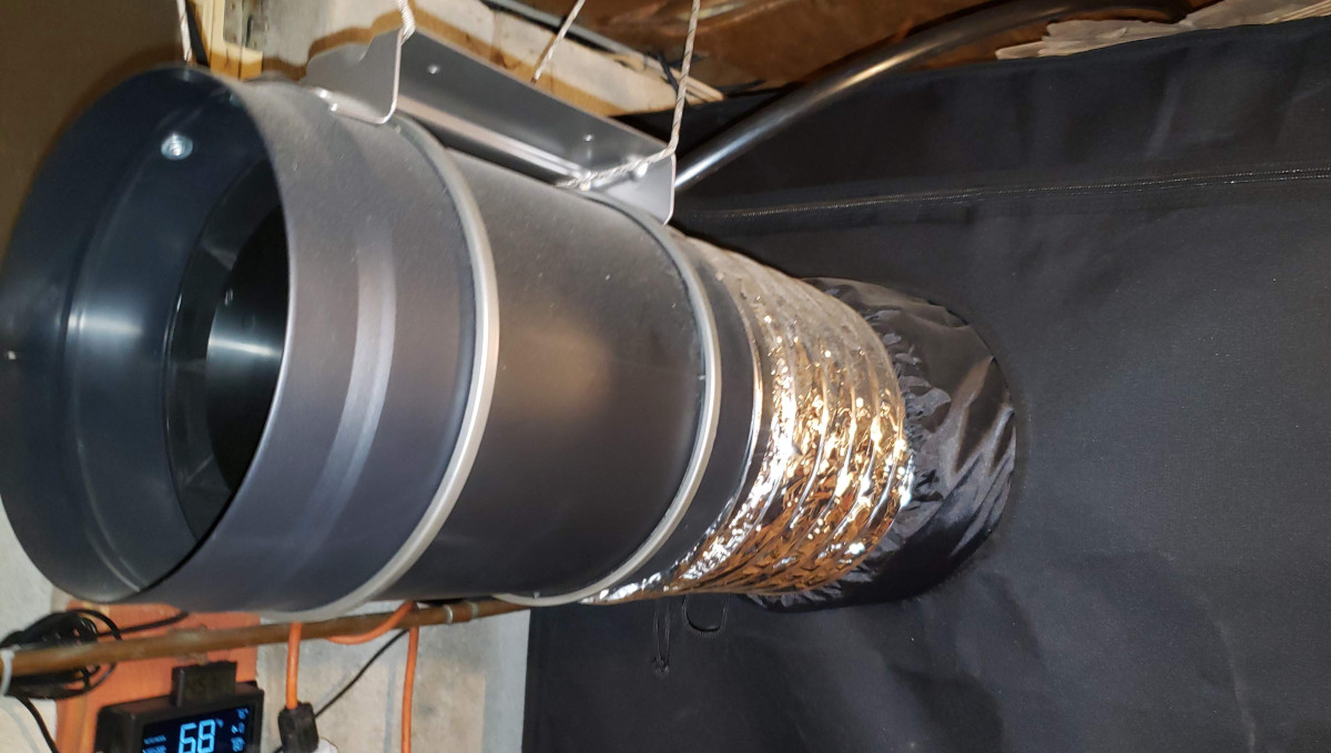 Strawberry Pie Auto Cannabis Strain Week-by-Week Guide: AC Infinity Cloudline fan mounted outside a grow tent Strawberry Pie Auto Cannabis Strain Week-by-Week Guide: AC Infinity Cloudline fan mounted outside a grow tent