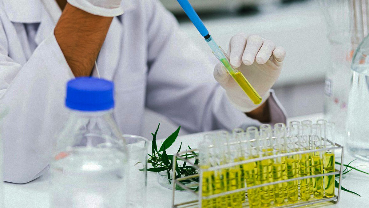 The best online cannabis courses: cannabis consultant The best online cannabis courses: cannabis consultant