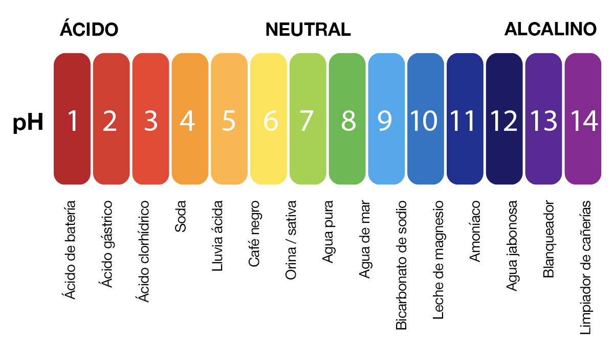 Cannabis autofloreciente en hidro: niveles de ph