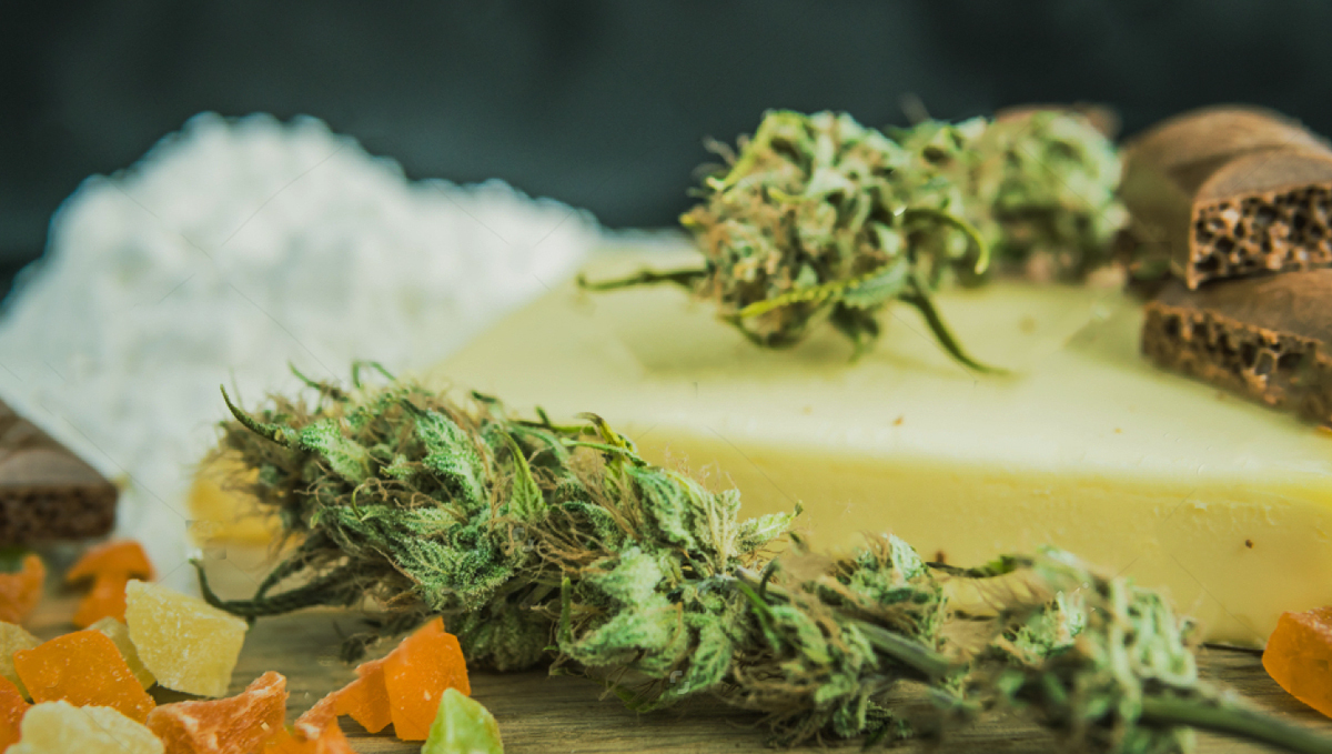 Cannabis helps to fight eating disorders Cannabis helps to fight eating disorders