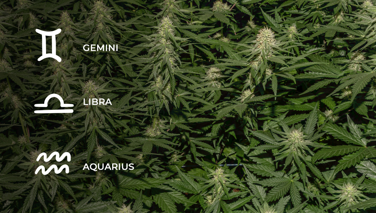 Lunar calendar: flower days