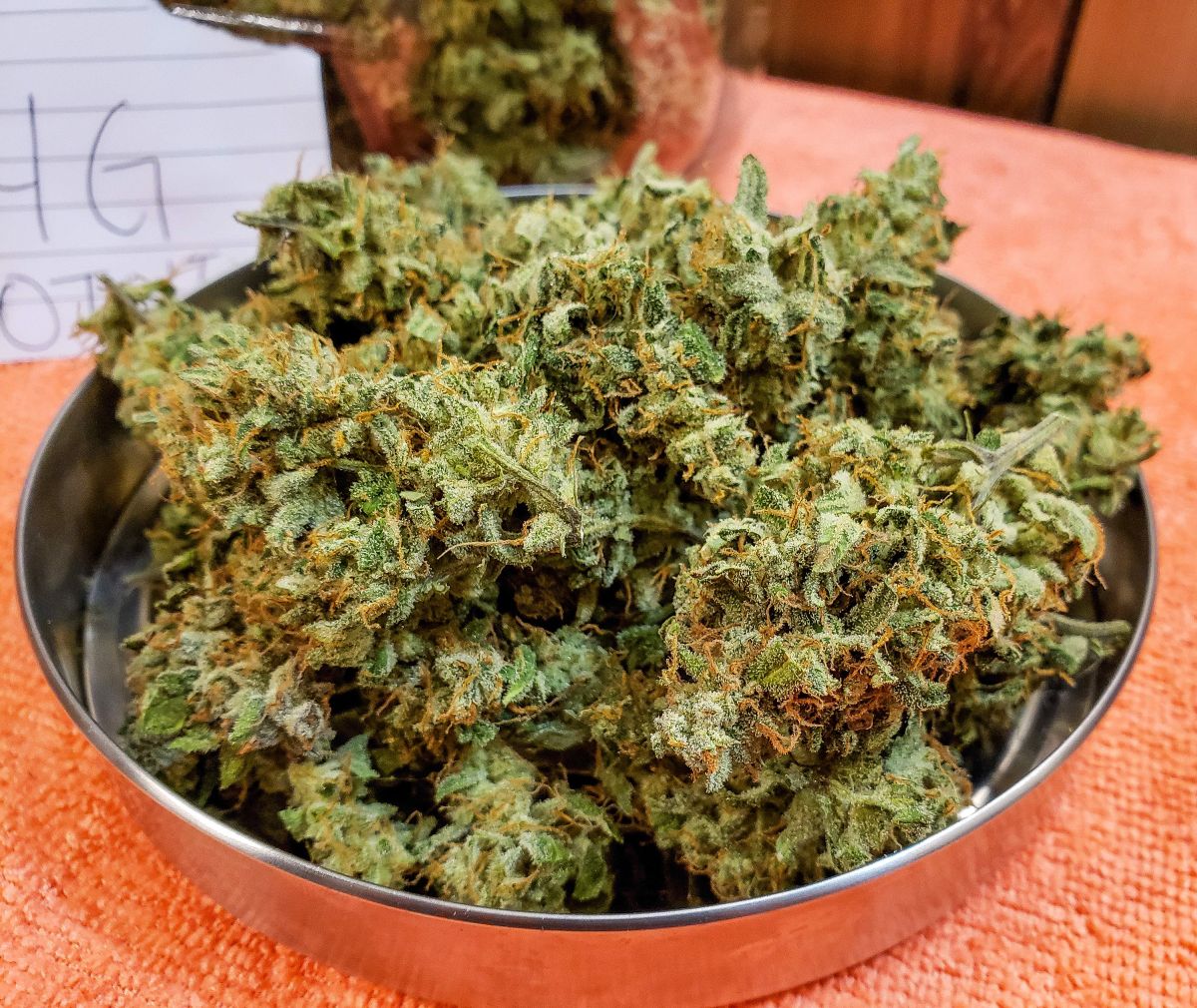 FastbudsbyJohnnyBlaz3 