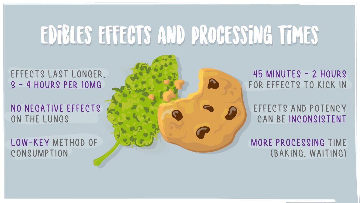 Edibles impact on your brain: eating cannabis Edibles impact on your brain: eating cannabis