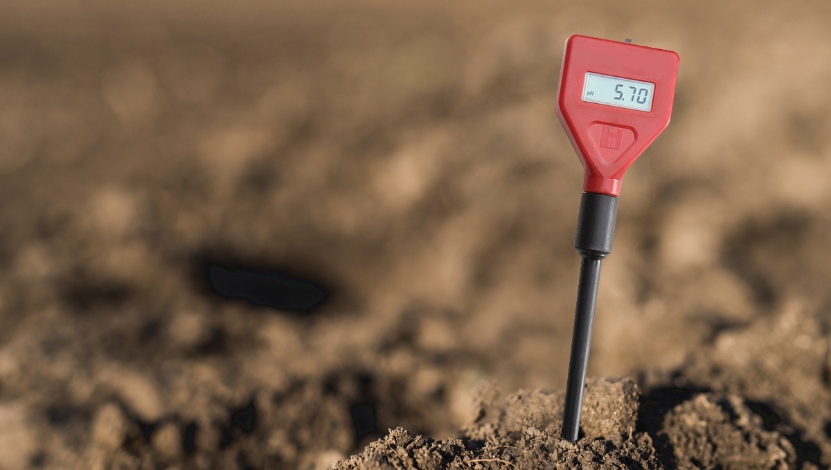 Why and how to use a pH pen: soil pH Why and how to use a pH pen: soil pH