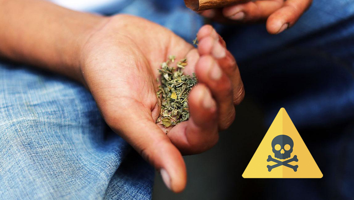 Synthetic cannabinoids: how to smoke
