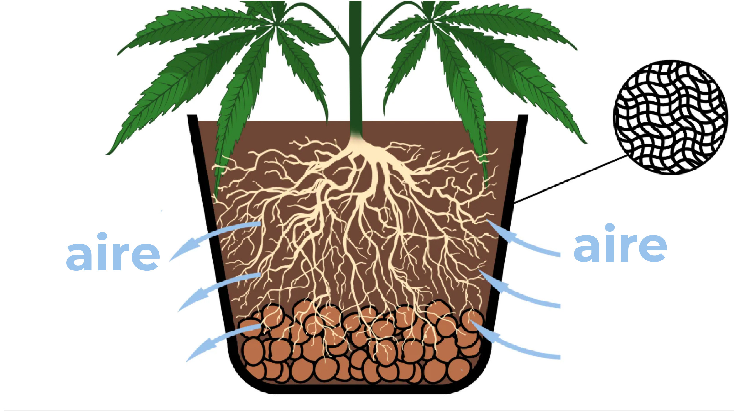  Tipos de contenedores para el cultivo de autoflorecientes: que tener en cuenta