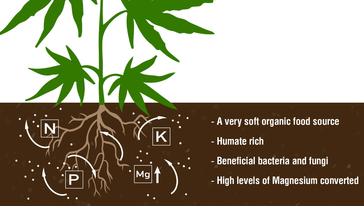 Compost and its benefits