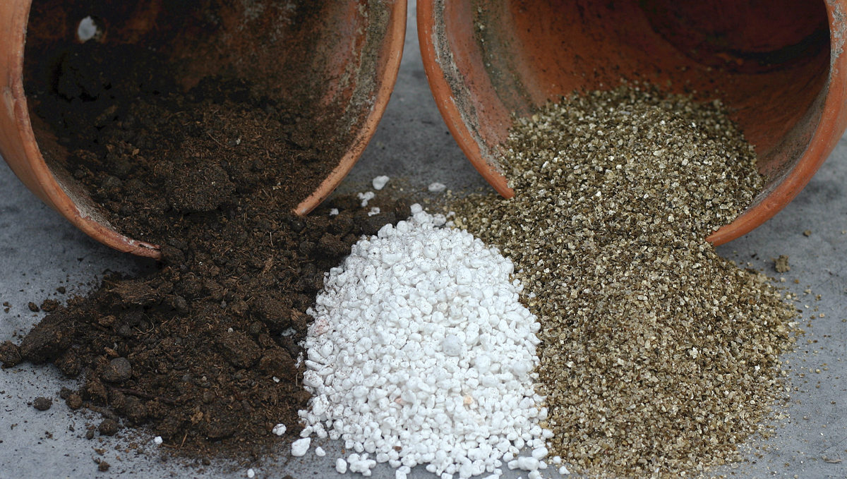 Which Soil Is Best For Autoflowering Cannabis?: substrates