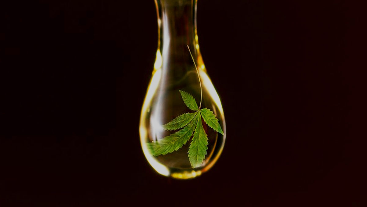 Cannabis tinctures are alcohol-based concentrates.