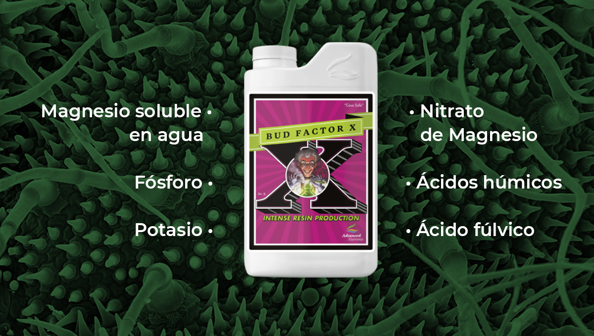 Nutrientes avanzados para autoflorecientes: factor de cogollos Nutrientes avanzados para autoflorecientes: factor de cogollos x