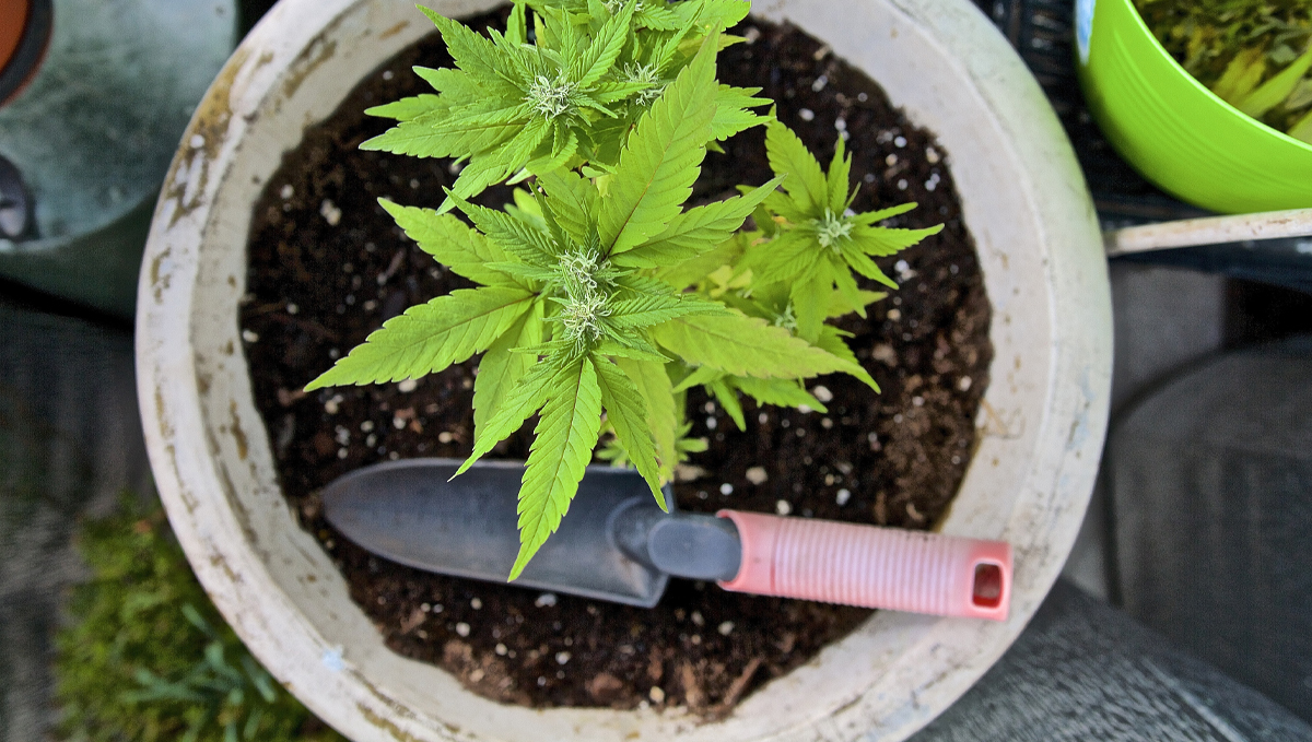 9 time-saving tips: super soil