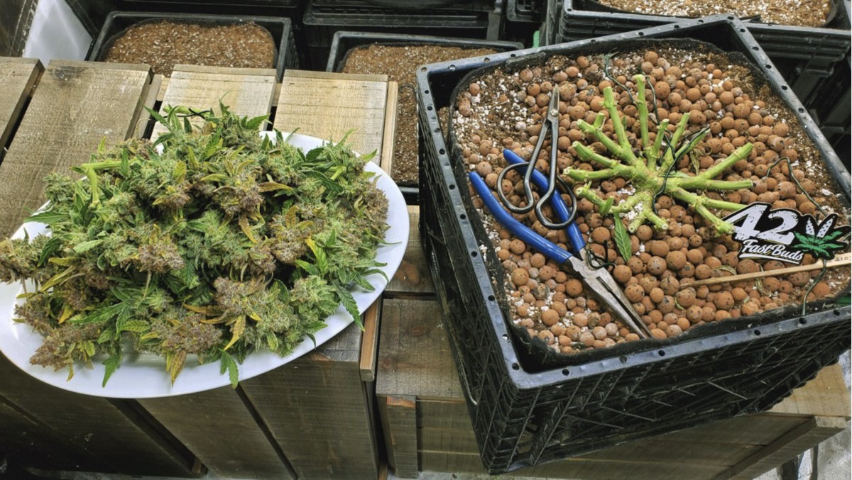 Screenshot 2021-05-04 at 13.07.25.png