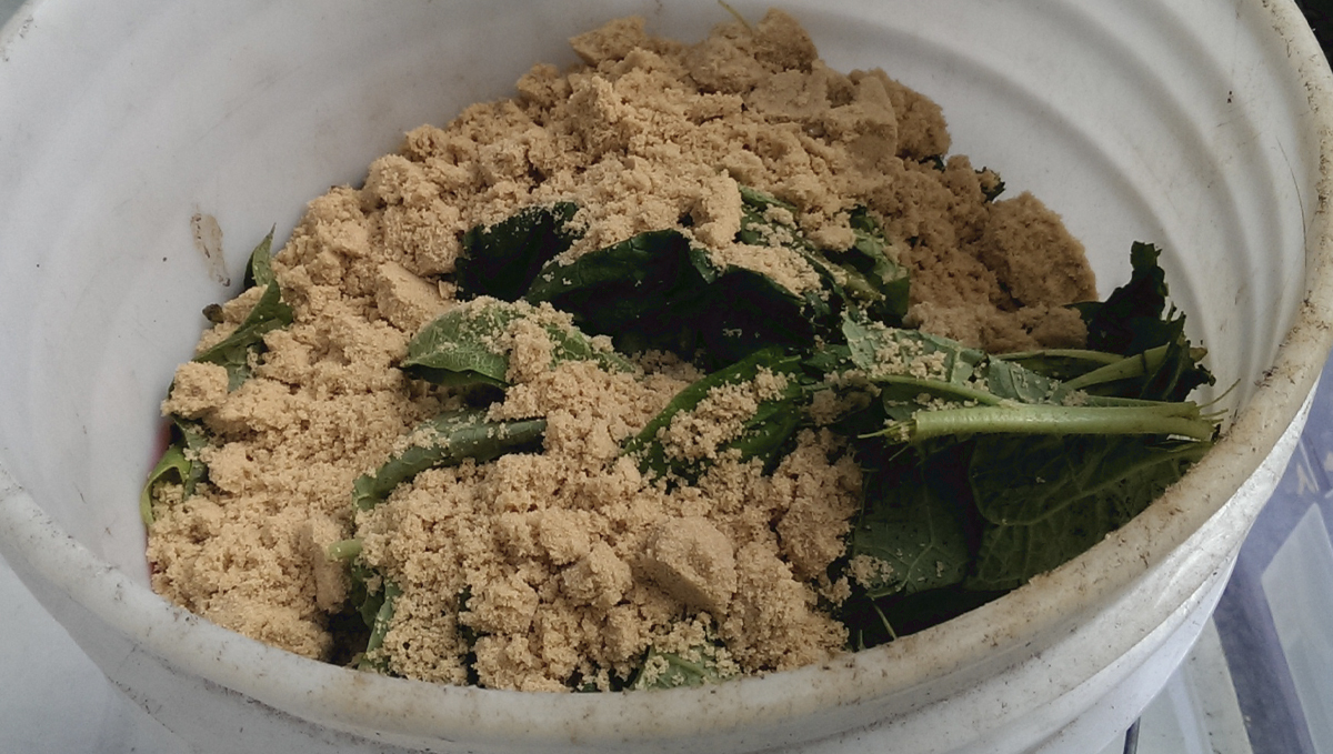 Korean natural farming: adding brown sugar Korean natural farming: adding brown sugar