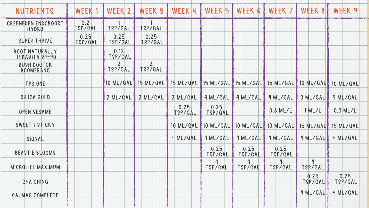 Orange Sherbet Auto Cannabis Strain Week-by-Week Guide: Organic feeding schedule