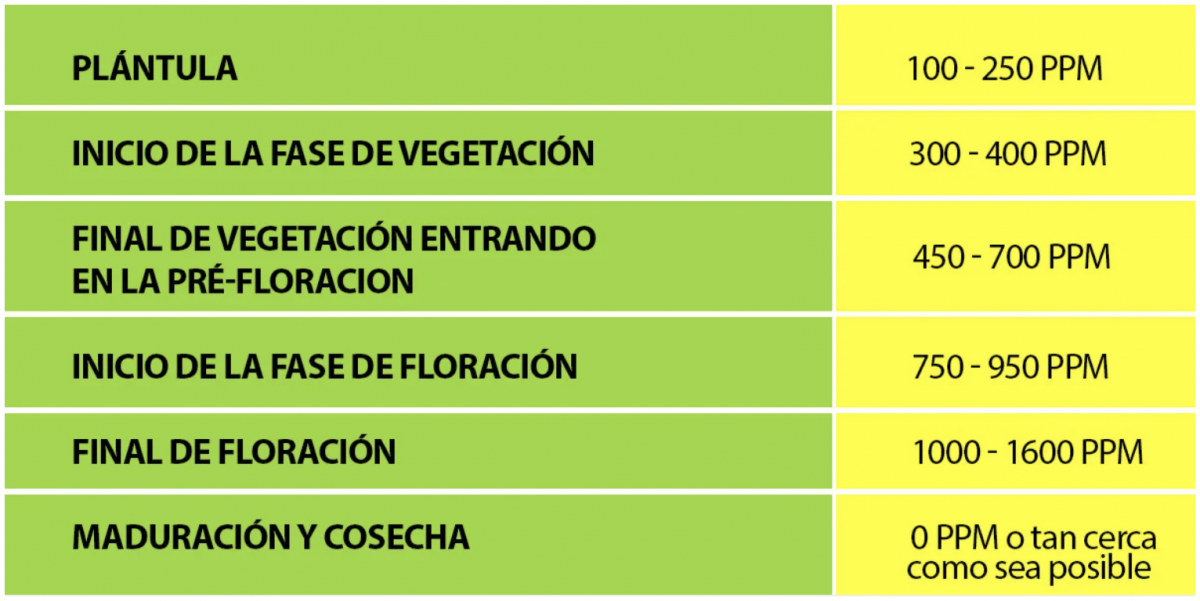 Cannabis autofloreciente en hidro: niveles óptimos de ppm