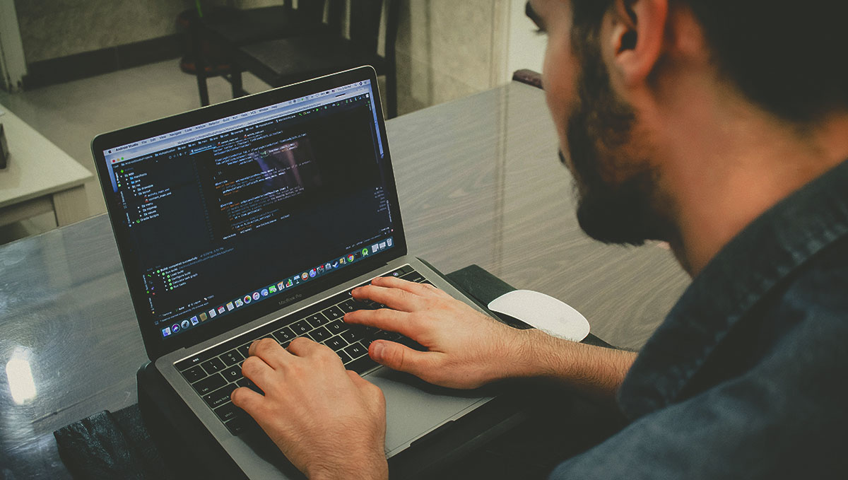 Cannabis: From Bud Tender to Master Grower: Almost every company today needs people in the IT area.