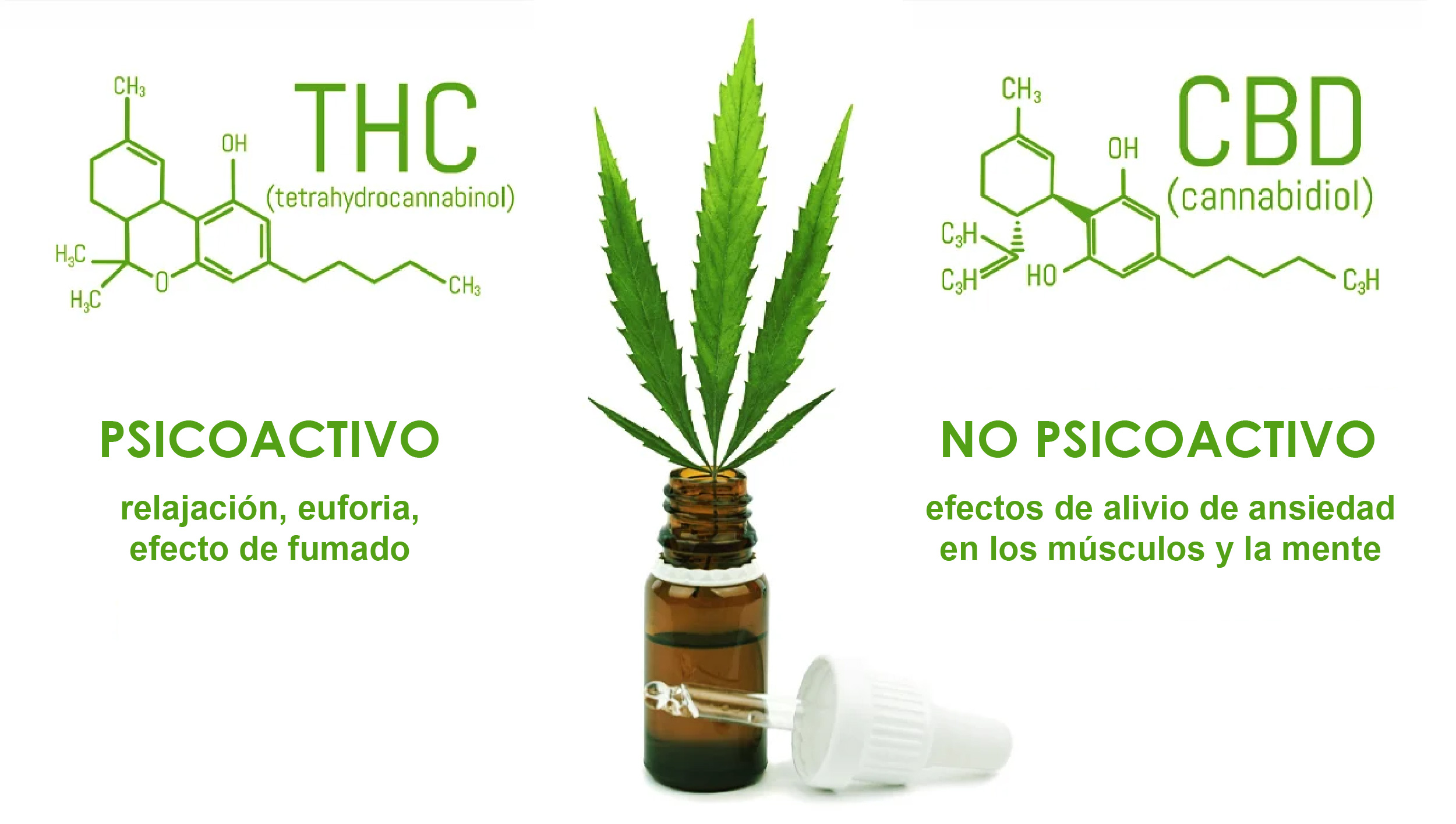 El THC se encarga de los efectos psicoactivos mientras que el CBD es más bien corporal.