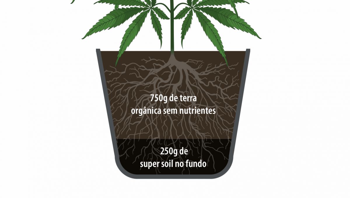 Super soil para cannabis: como usar super soil