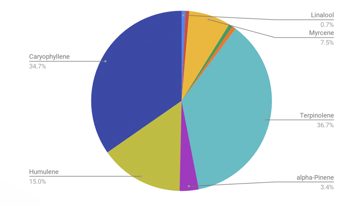 Amnesia Haze Auto: terpene profile