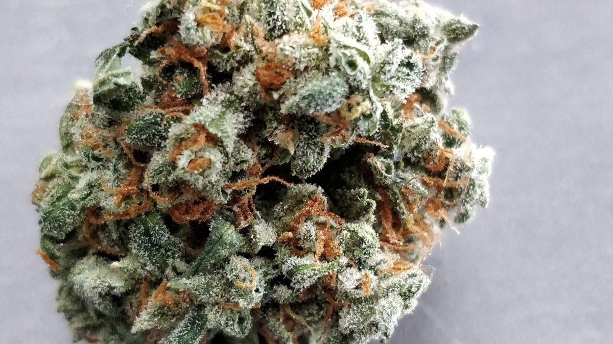 fastbuds six shooter by dahoola