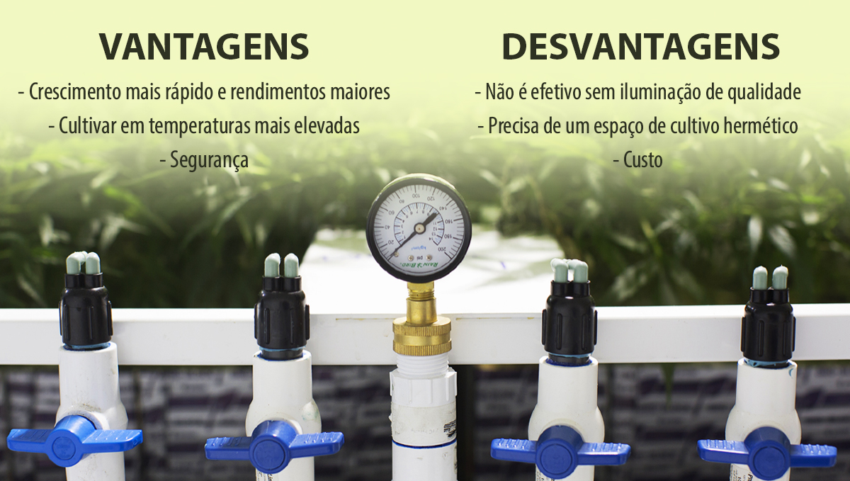 Aumentar os rendimentos com CO2: pros e cons