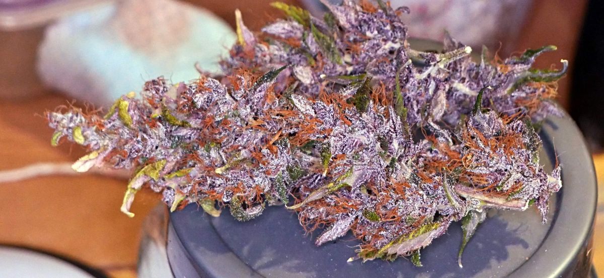 Fastbuds blackberry by BigDaddyK.jpg