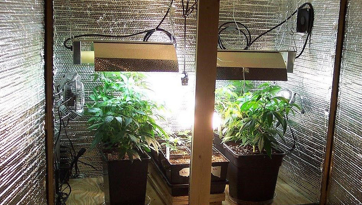 Espacio de cultivo DIY: un espacio de cultivo improvisado Espacio de cultivo DIY: un espacio de cultivo improvisado