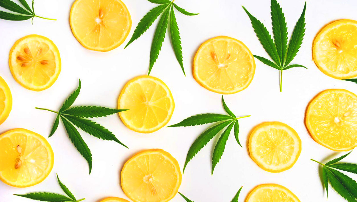 Limonene developed as an insect ward, then turning into an effective antibacterial.