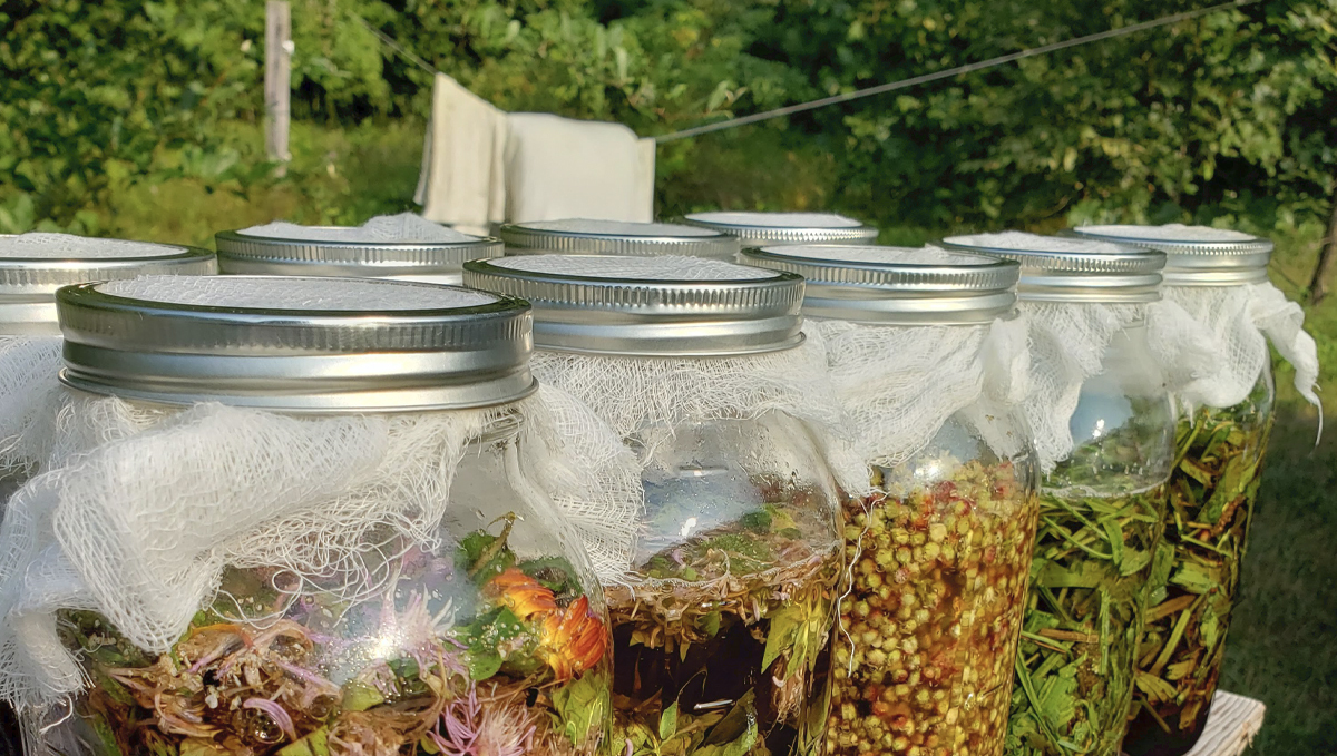 Korean natural farming: Oriental herb nutrients Korean natural farming: Oriental herb nutrients