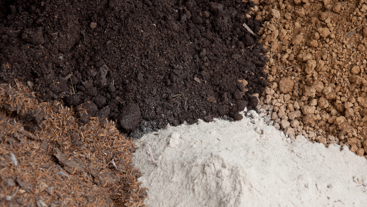 super soil for cannabis plants: organic amendments